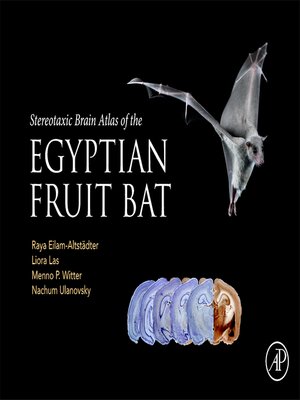 cover image of Stereotaxic Brain Atlas of the Egyptian Fruit Bat